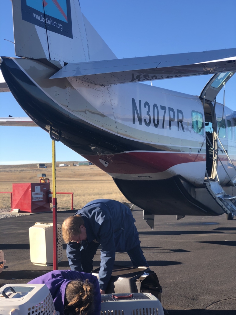 Emergency Animal Rescue Flight - Dog Is My CoPilot