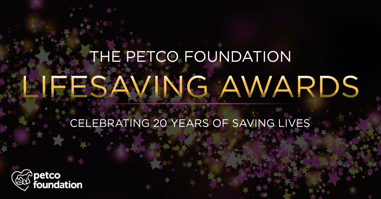 Dog Is My CoPilot receives national award Dog Is My CoPilot