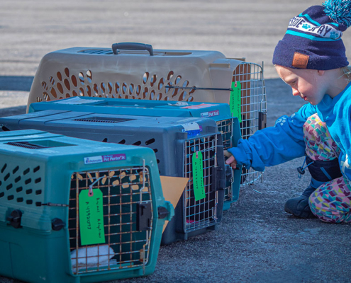 Dog is my Copilot Giving Tuesday