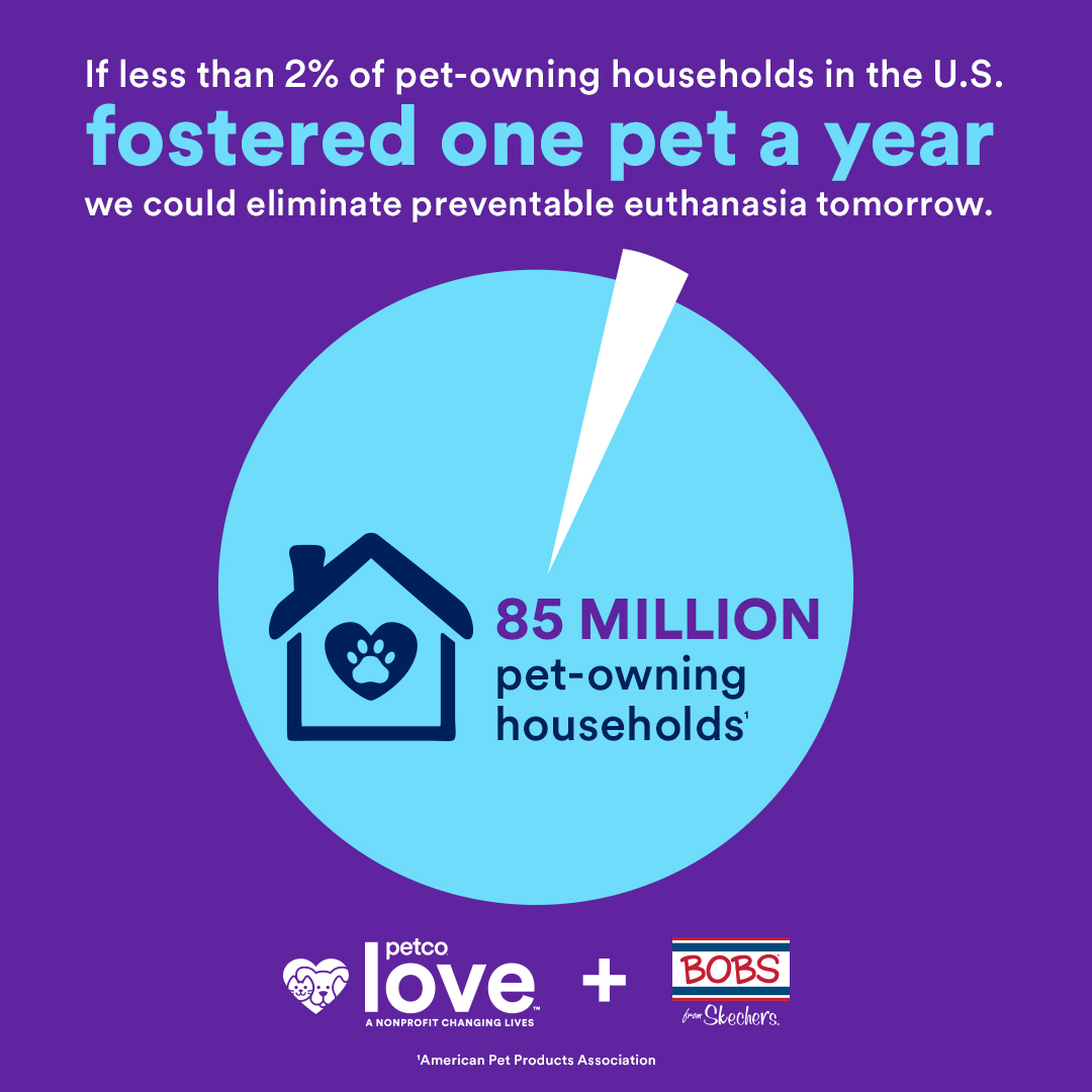 National Foster a Pet Month Dog Is My CoPilot