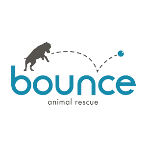 Bounce Animal Rescue