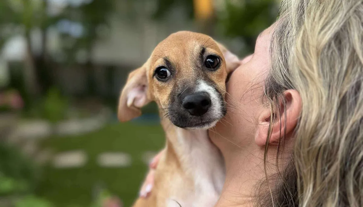 DIMC Fall Update Featured