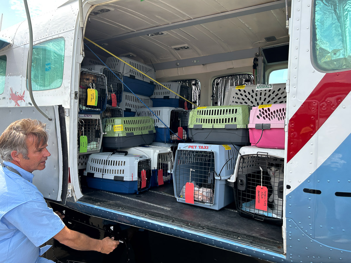 Photo Aug 05 2025, 1 04 52 PM