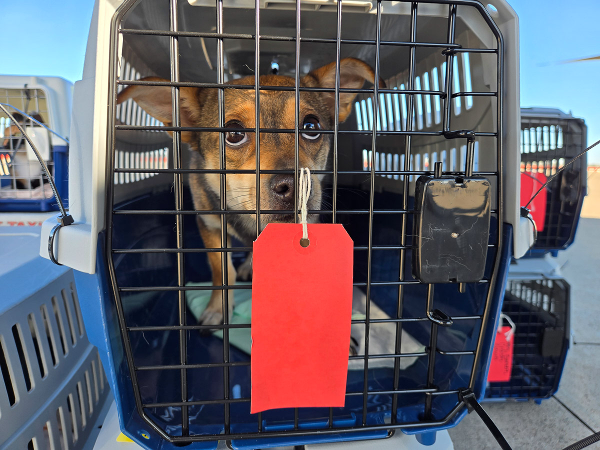 Photo Aug 05 2025, 8 20 56 AM