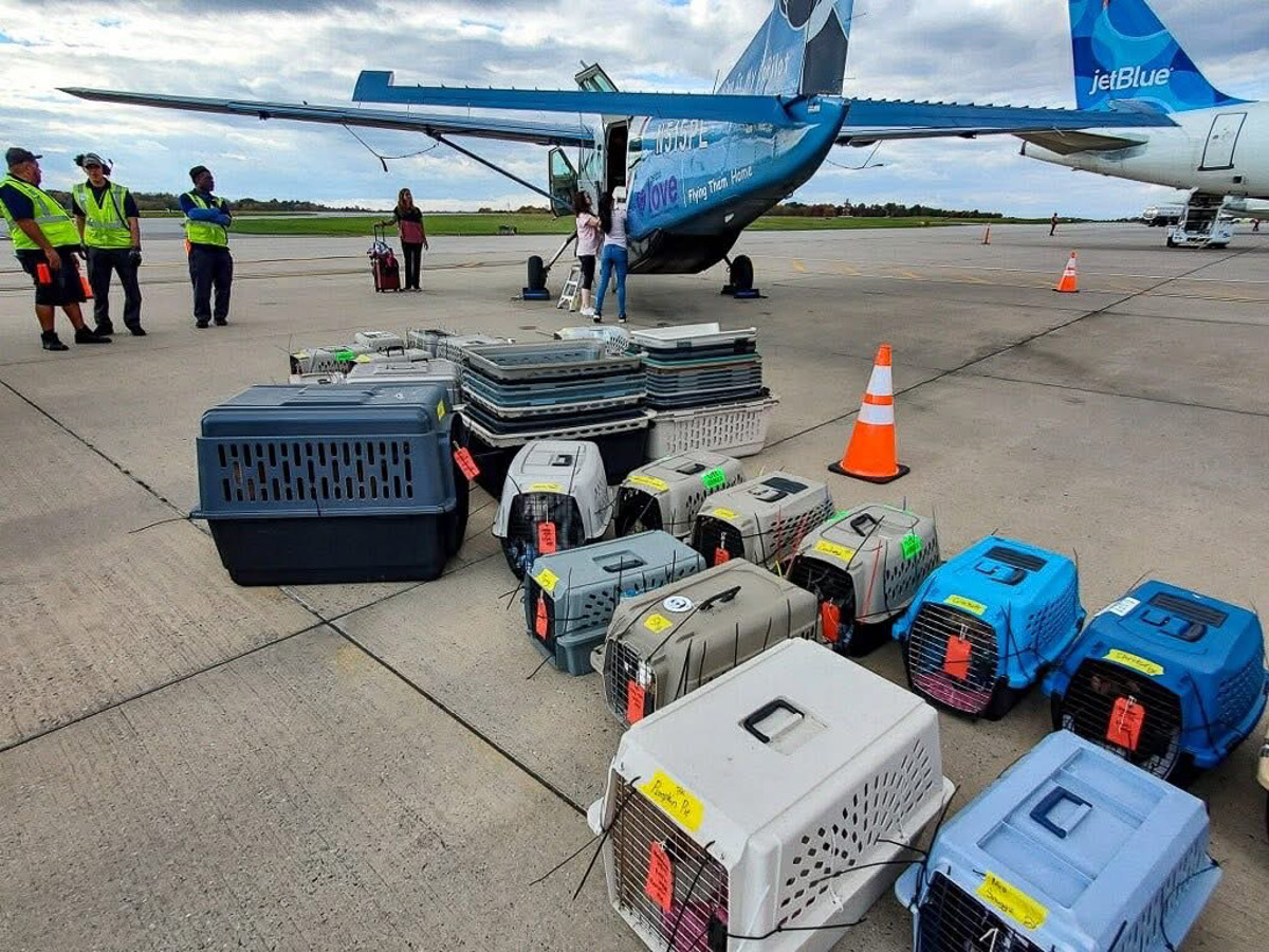 Photo Aug 06 2025, 11 32 48 AM (1)