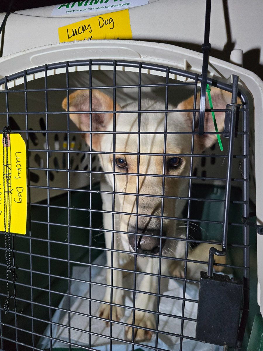 Photo Aug 06 2025, 11 32 48 AM (3)