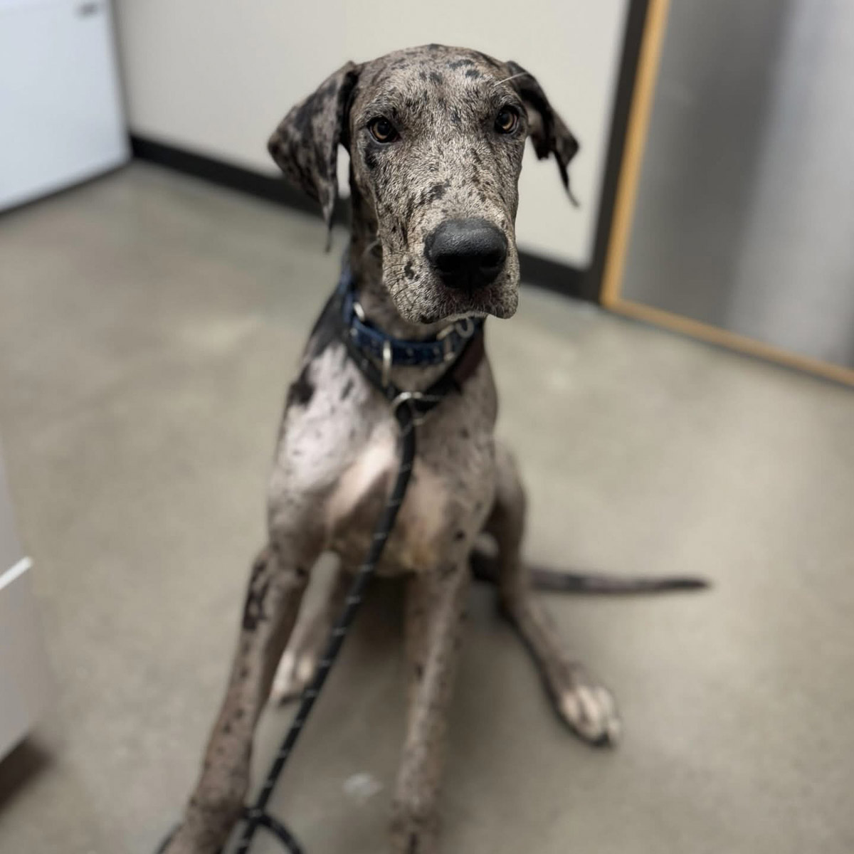 Photo Aug 06 2025, 11 32 48 AM