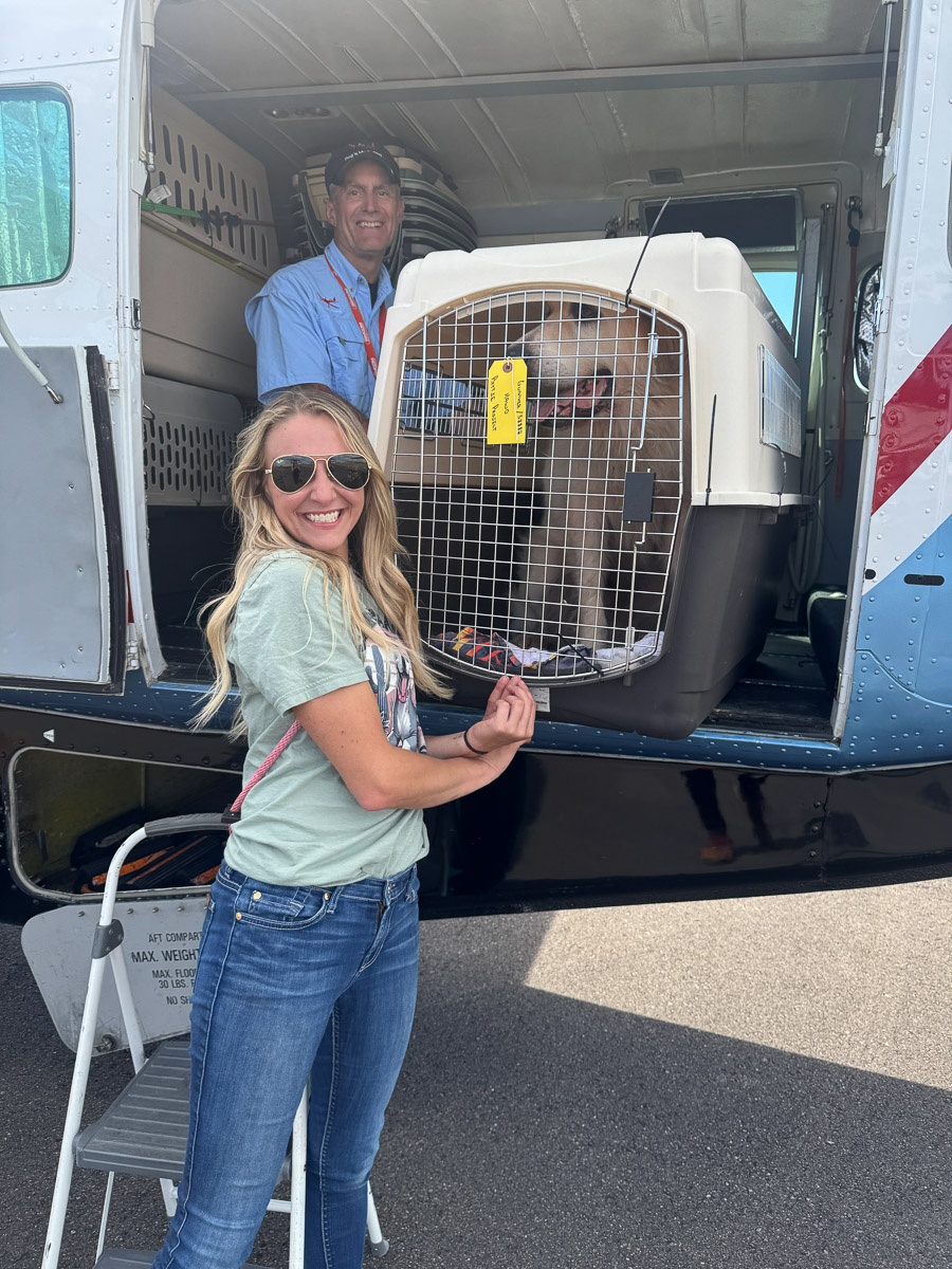 Photo Aug 08 2025, 2 55 33 PM