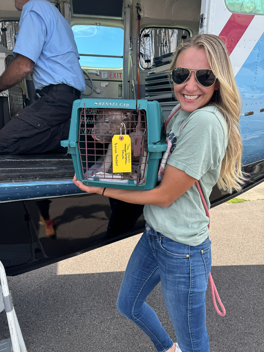 Photo Aug 08 2025, 2 56 33 PM