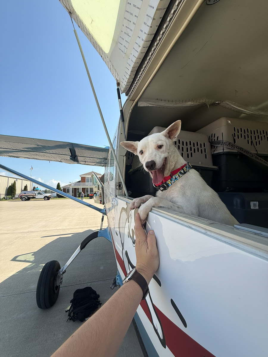 Photo Jul 12 2025, 10 43 40 AM