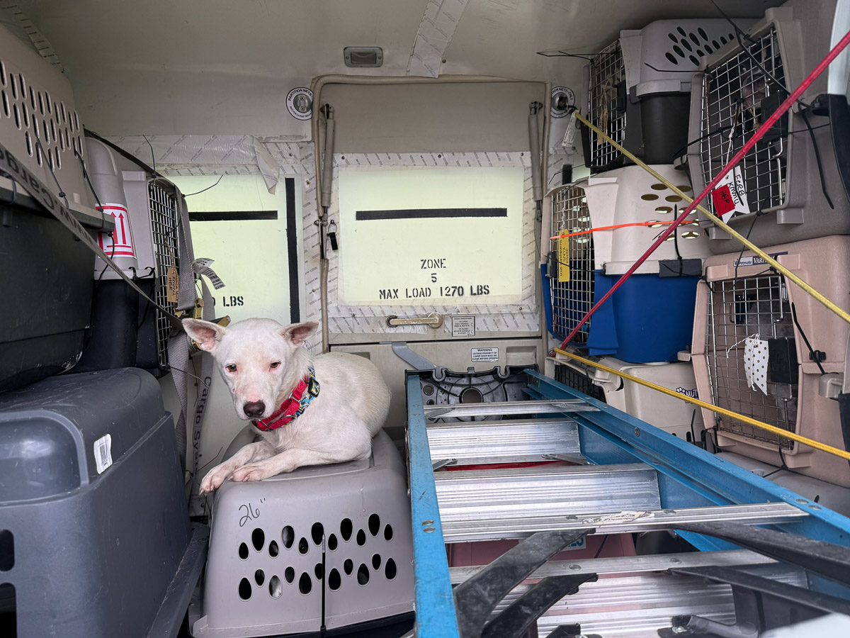 Photo Jul 12 2025, 2 39 05 PM