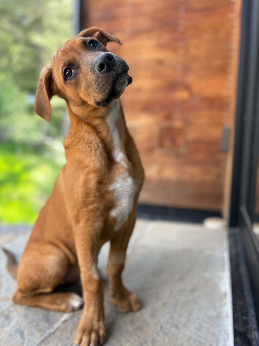 Photo Jun 19 2025, 4 45 31 PM