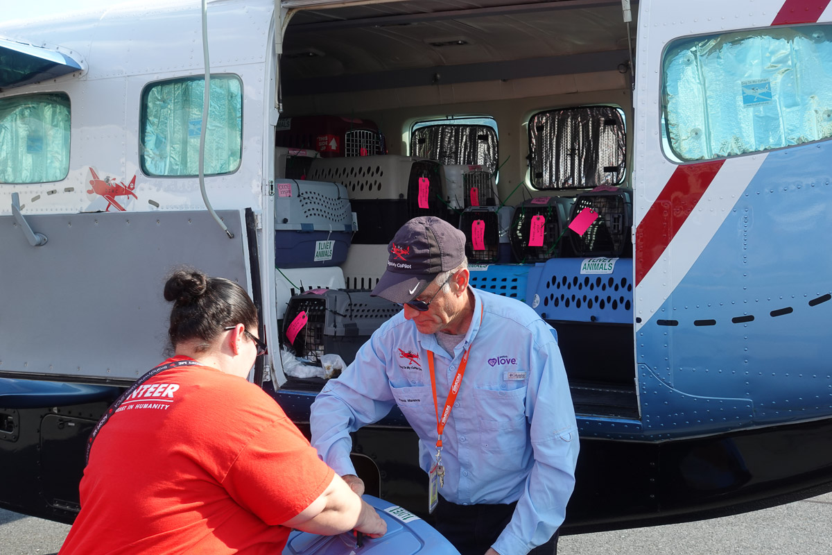 Photo Jun 20 2025, 5 01 01 PM