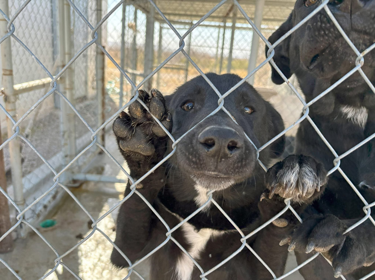 Photo Jun 24 2025, 10 02 27 PM