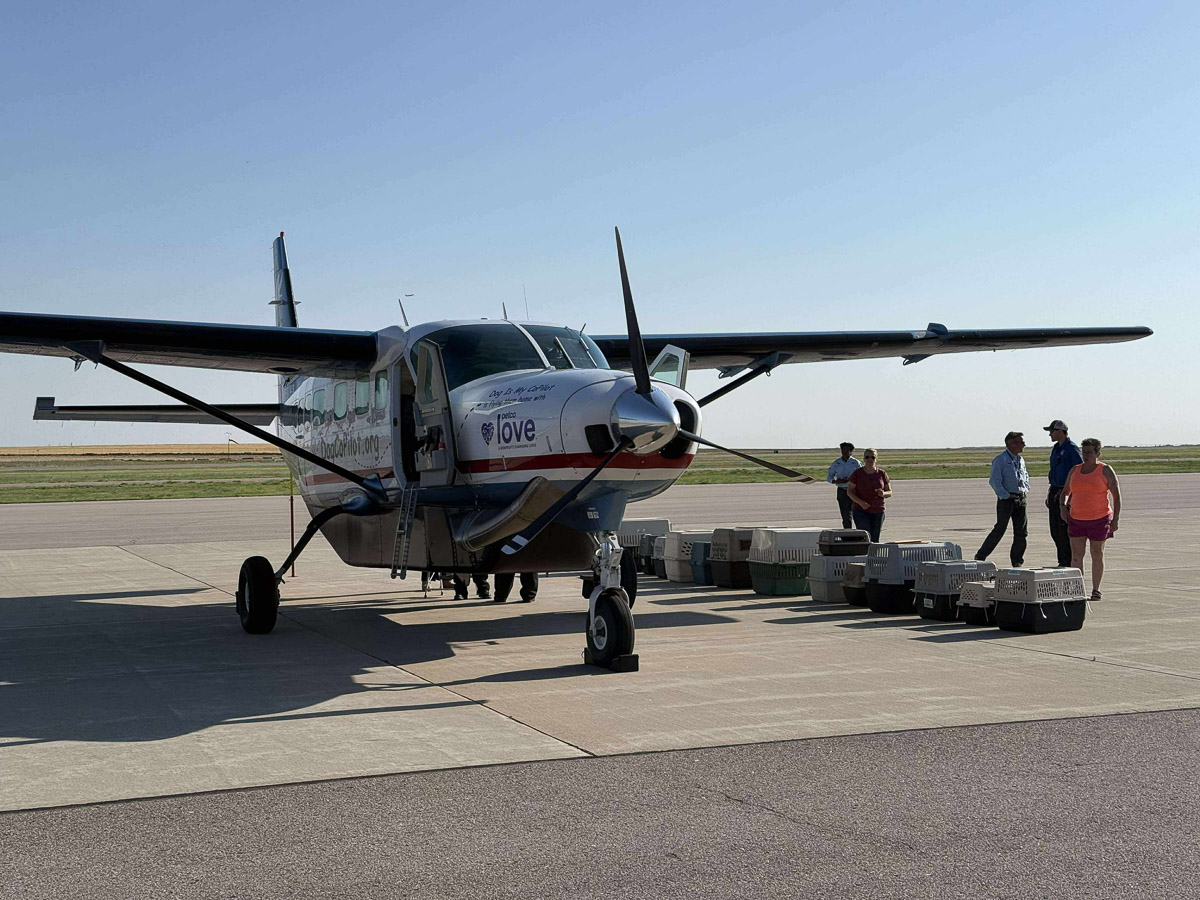 Photo Jun 29 2025, 11 14 12 PM