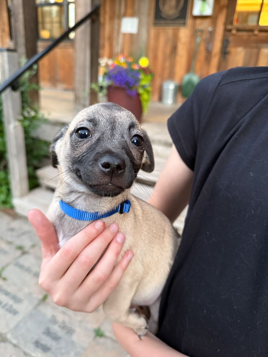 Photo Jun 29 2025, 9 14 03 PM