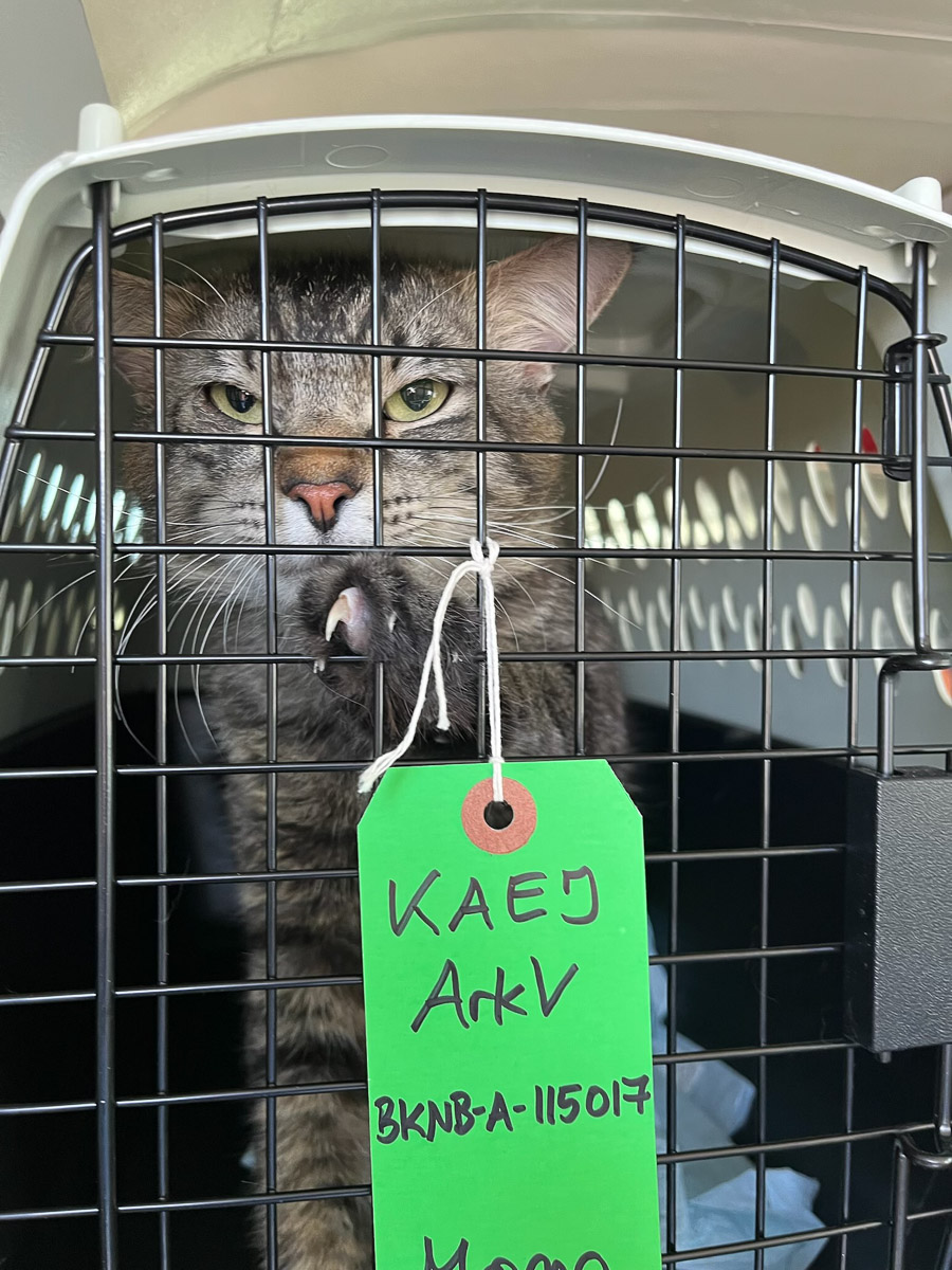 Photo May 09 2025, 10 46 00 AM