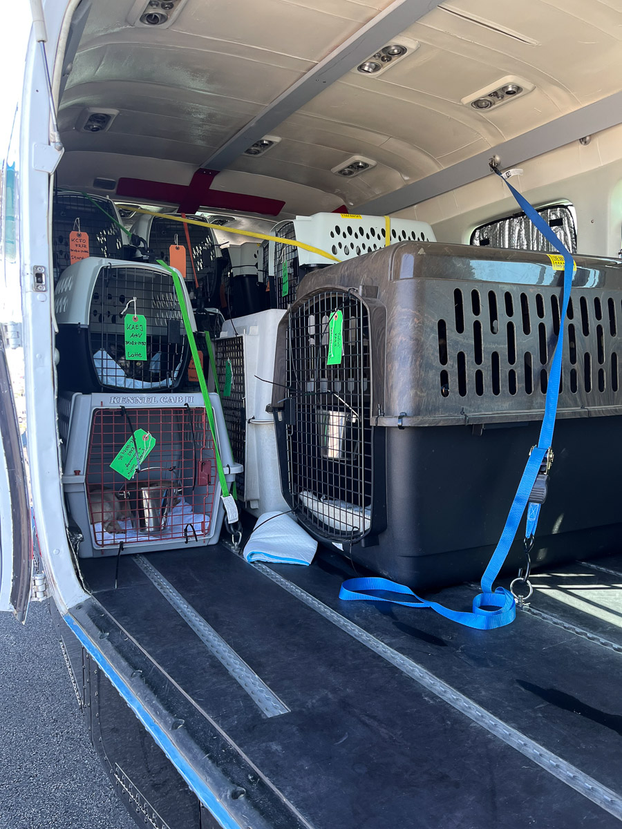 Photo May 09 2025, 11 02 41 AM