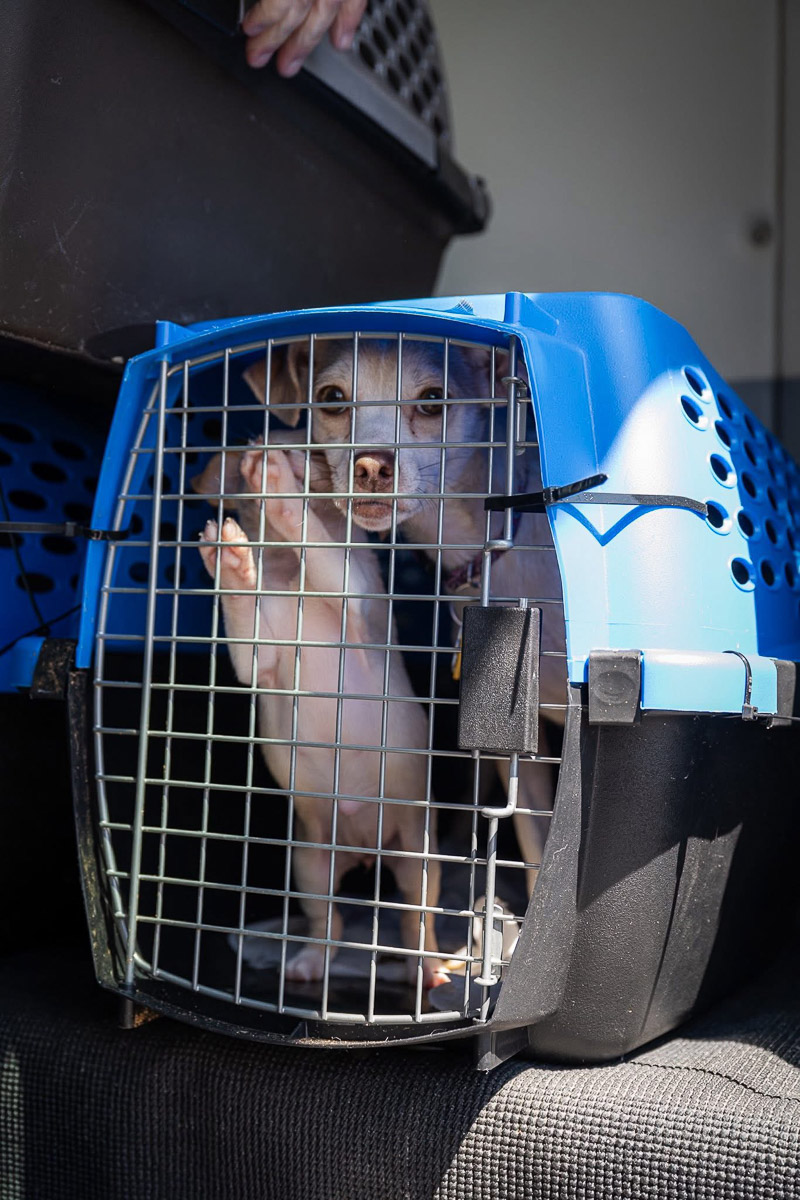 Photo May 13 2025, 9 28 45 AM