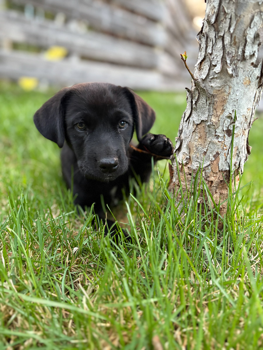 Photo May 15 2025, 8 22 31 PM