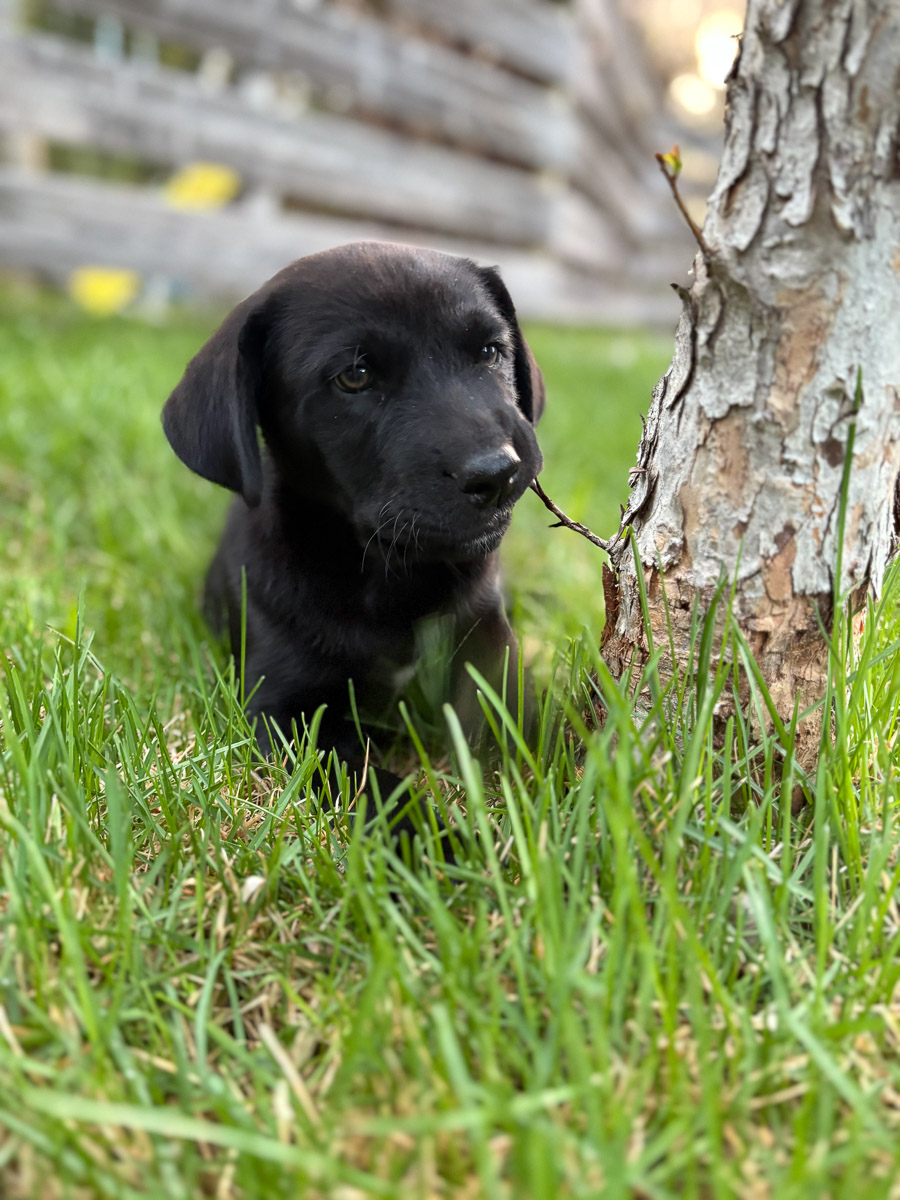 Photo May 15 2025, 8 22 33 PM