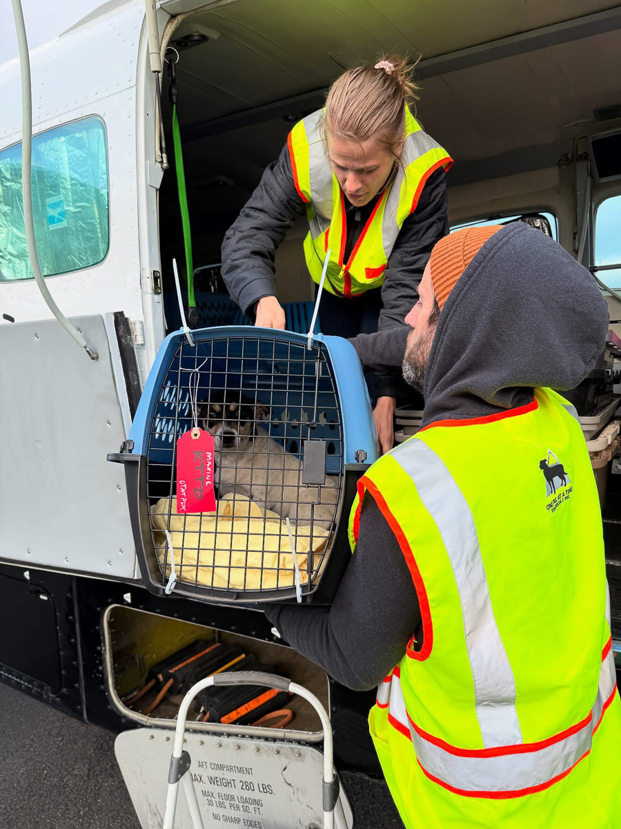 Photo May 29 2025, 8 56 30 AM (1)