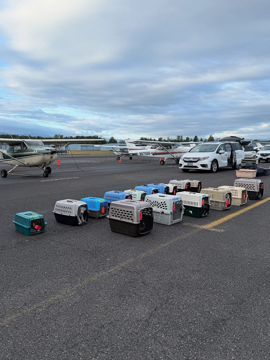 Photo May 29 2025, 8 56 30 AM (2)