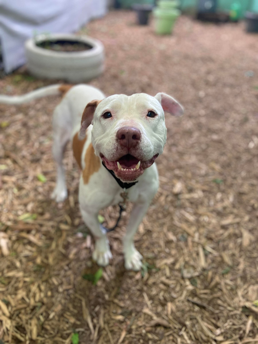 Photo Sep 02 2025, 9 49 49 PM