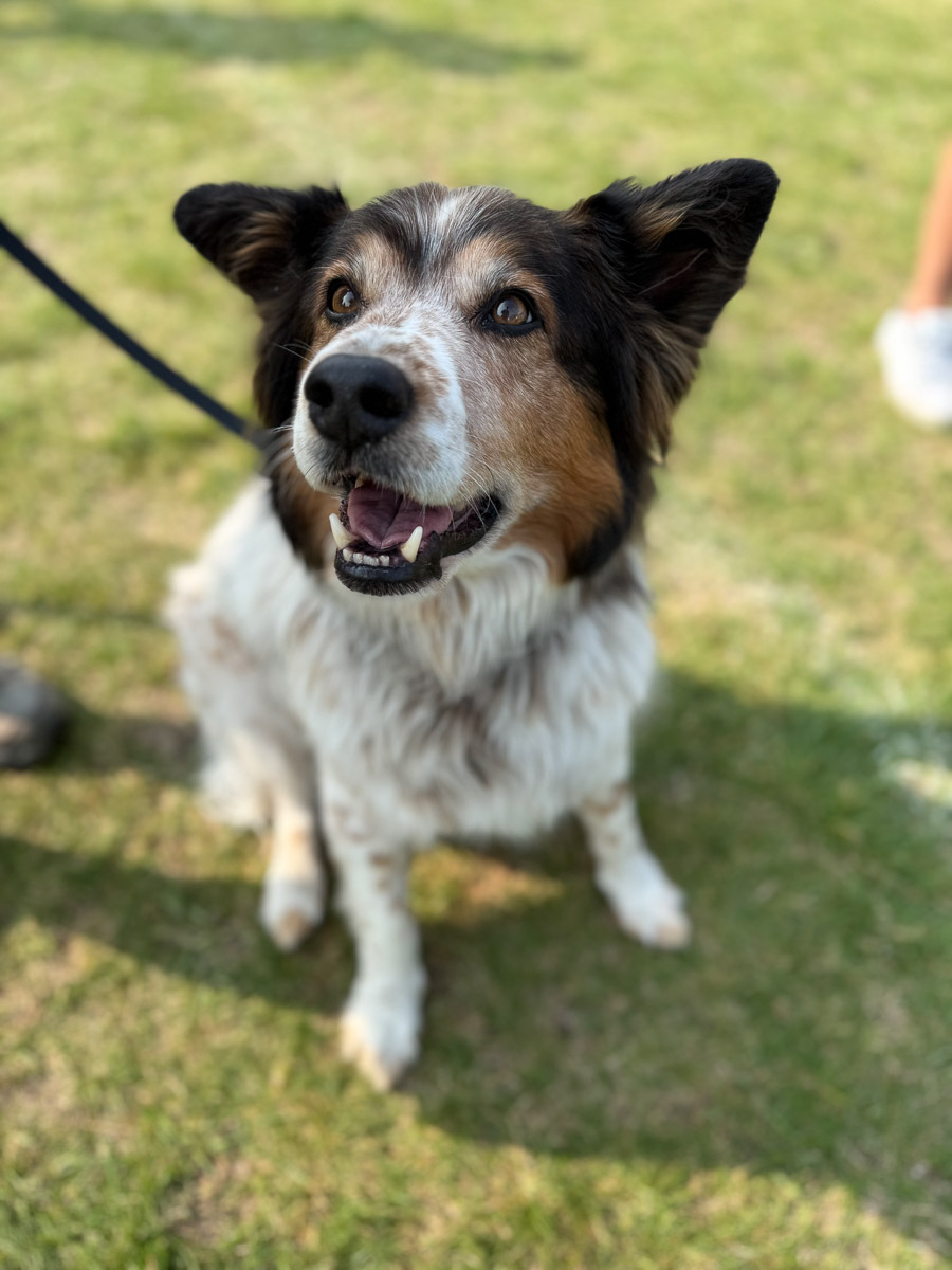 Photo Sep 06 2025, 10 48 31 AM