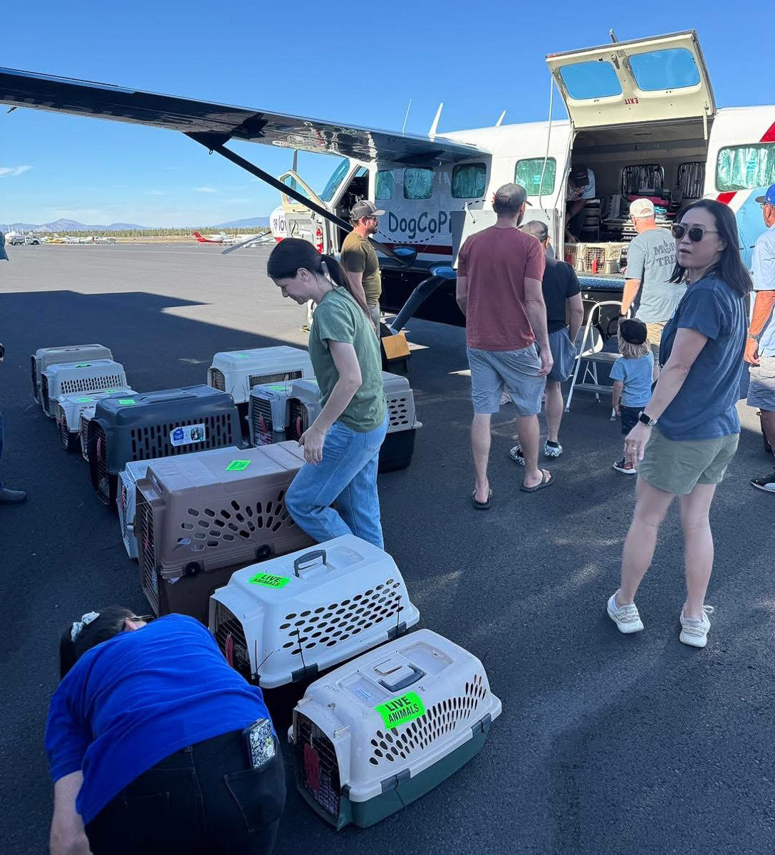 Photo Sep 23 2025, 2 43 59 PM (1)