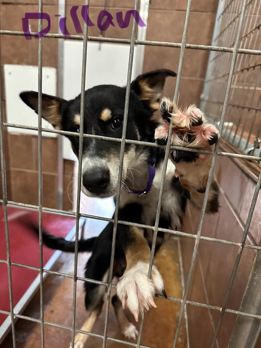 Photo Sep 23 2025, 2 43 59 PM (10)