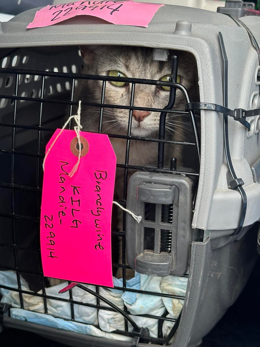 Photo Sep 23 2025, 2 43 59 PM (11)