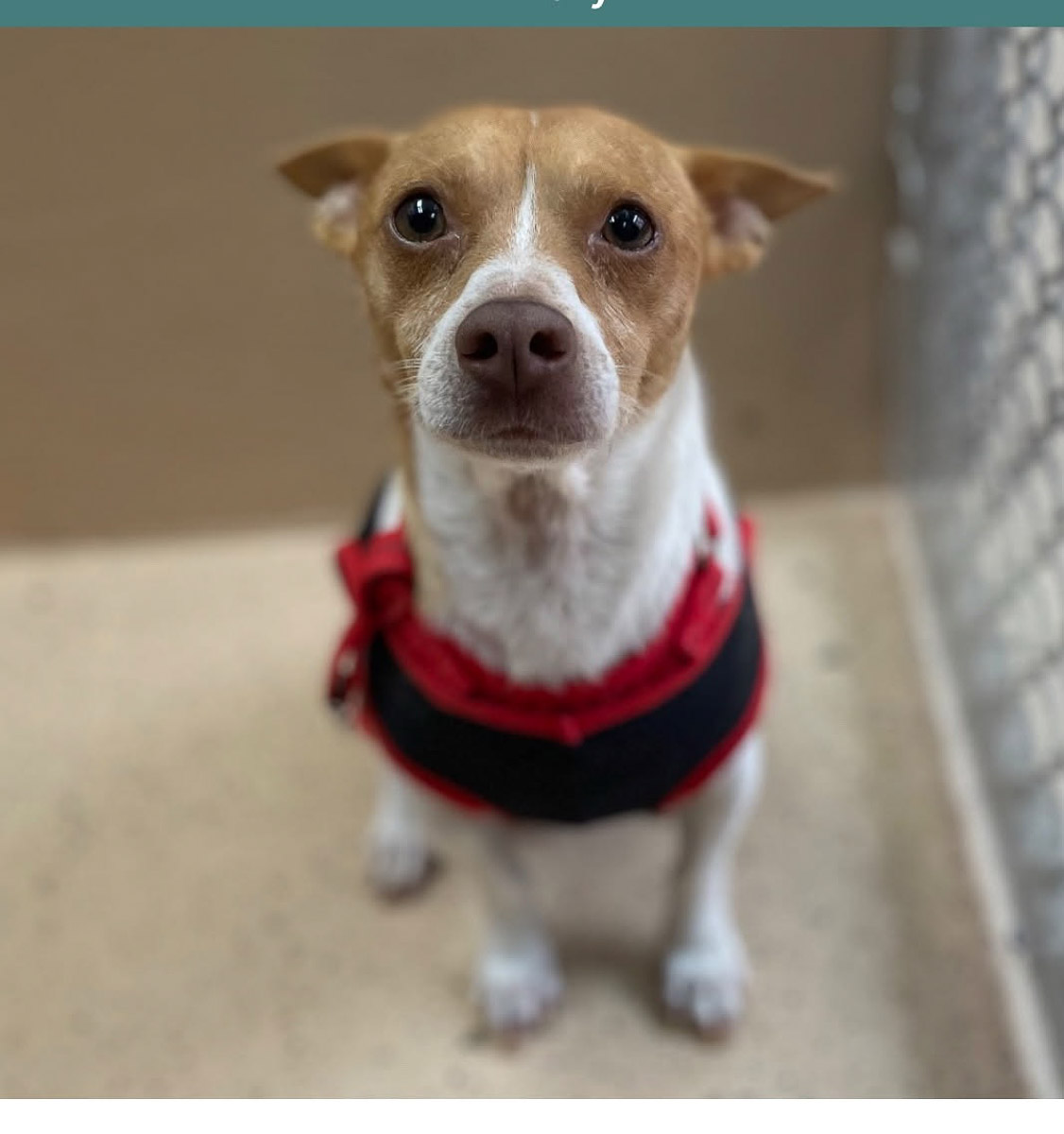 Photo Sep 23 2025, 2 43 59 PM (12)