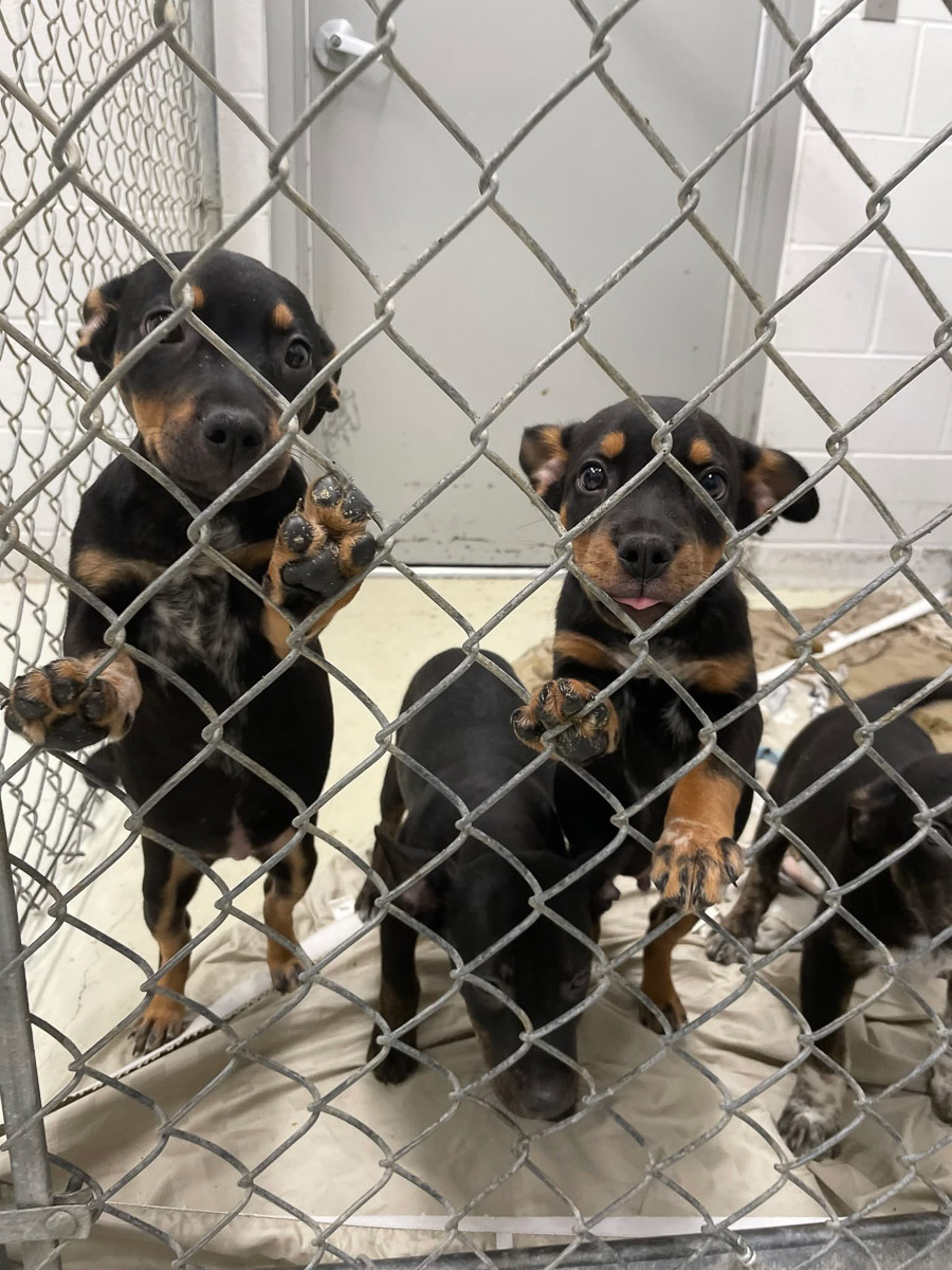 Photo Sep 23 2025, 2 43 59 PM (13)