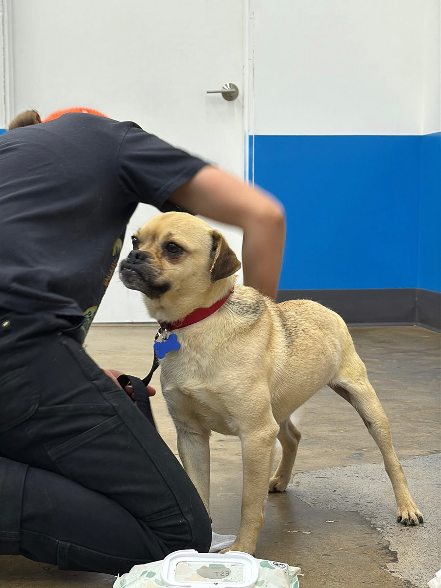 Photo Sep 23 2025, 2 43 59 PM (15) (1)