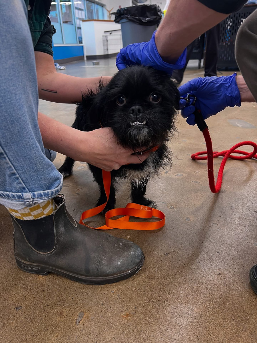 Photo Sep 23 2025, 2 43 59 PM (16)