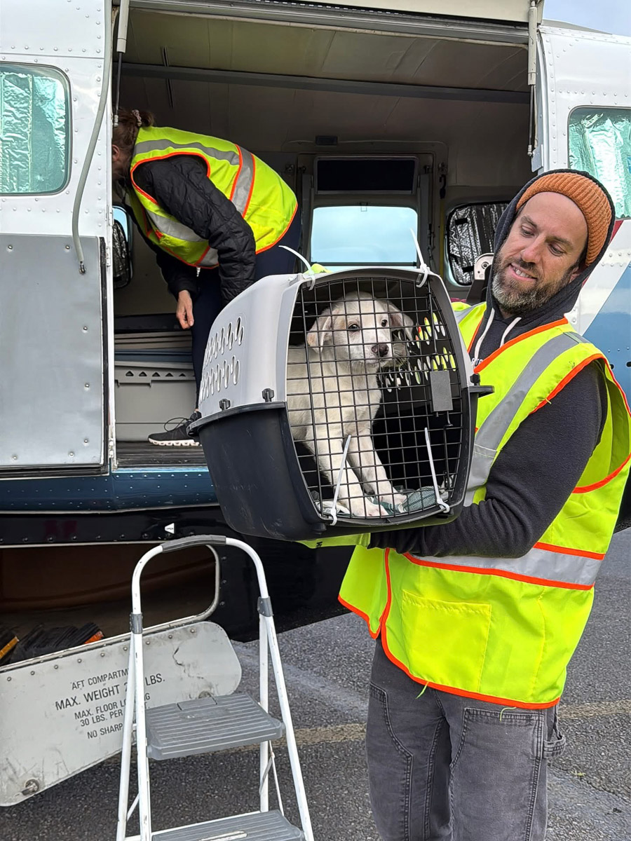 Photo Sep 23 2025, 2 43 59 PM (18)