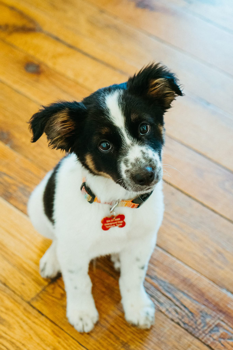 Photo Sep 23 2025, 2 43 59 PM (19)