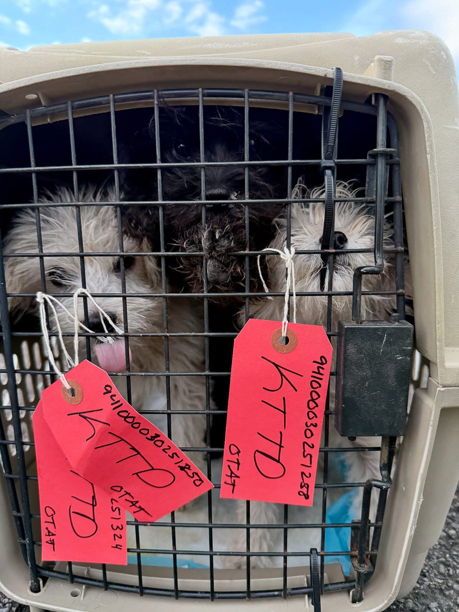 Photo Sep 23 2025, 2 43 59 PM (21)