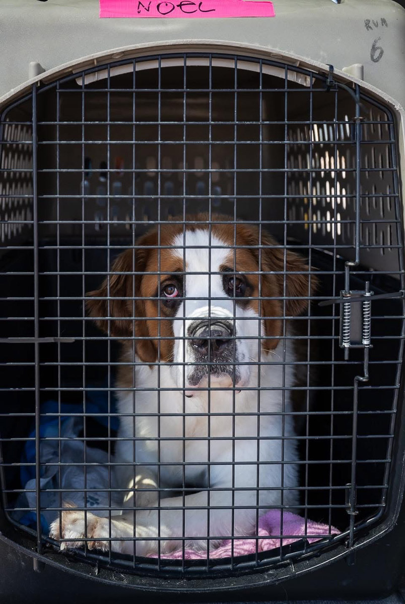 Photo Sep 23 2025, 2 43 59 PM (22)