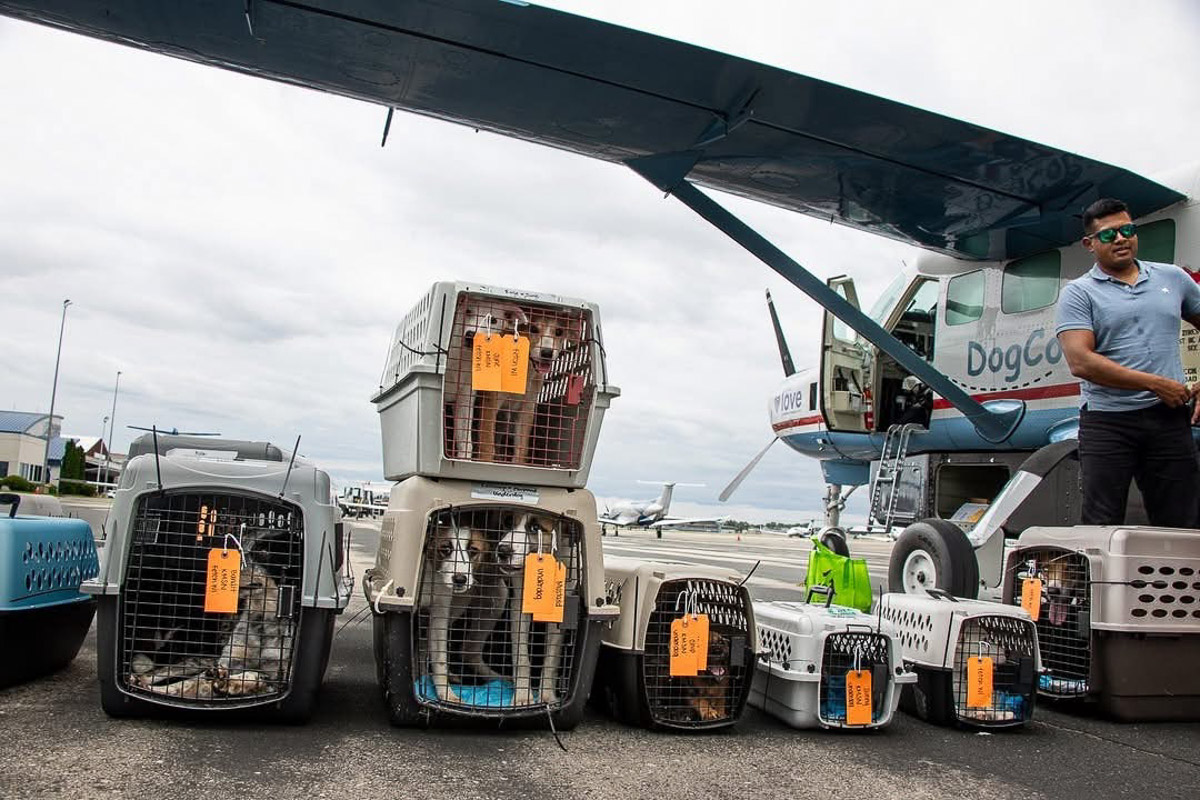 Photo Sep 23 2025, 2 43 59 PM (3)