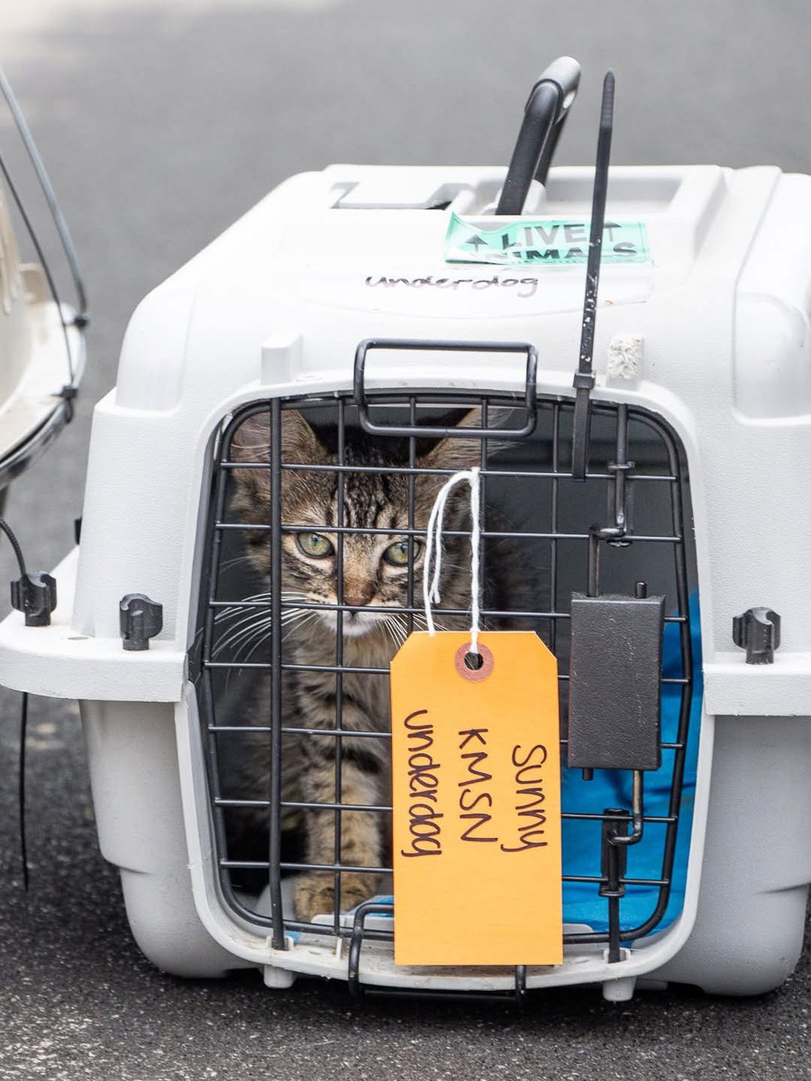 Photo Sep 23 2025, 2 43 59 PM (5)