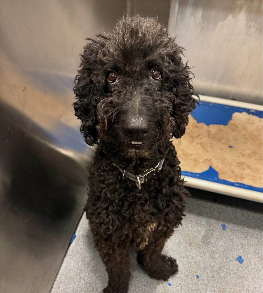 Photo Sep 23 2025, 2 43 59 PM (7)