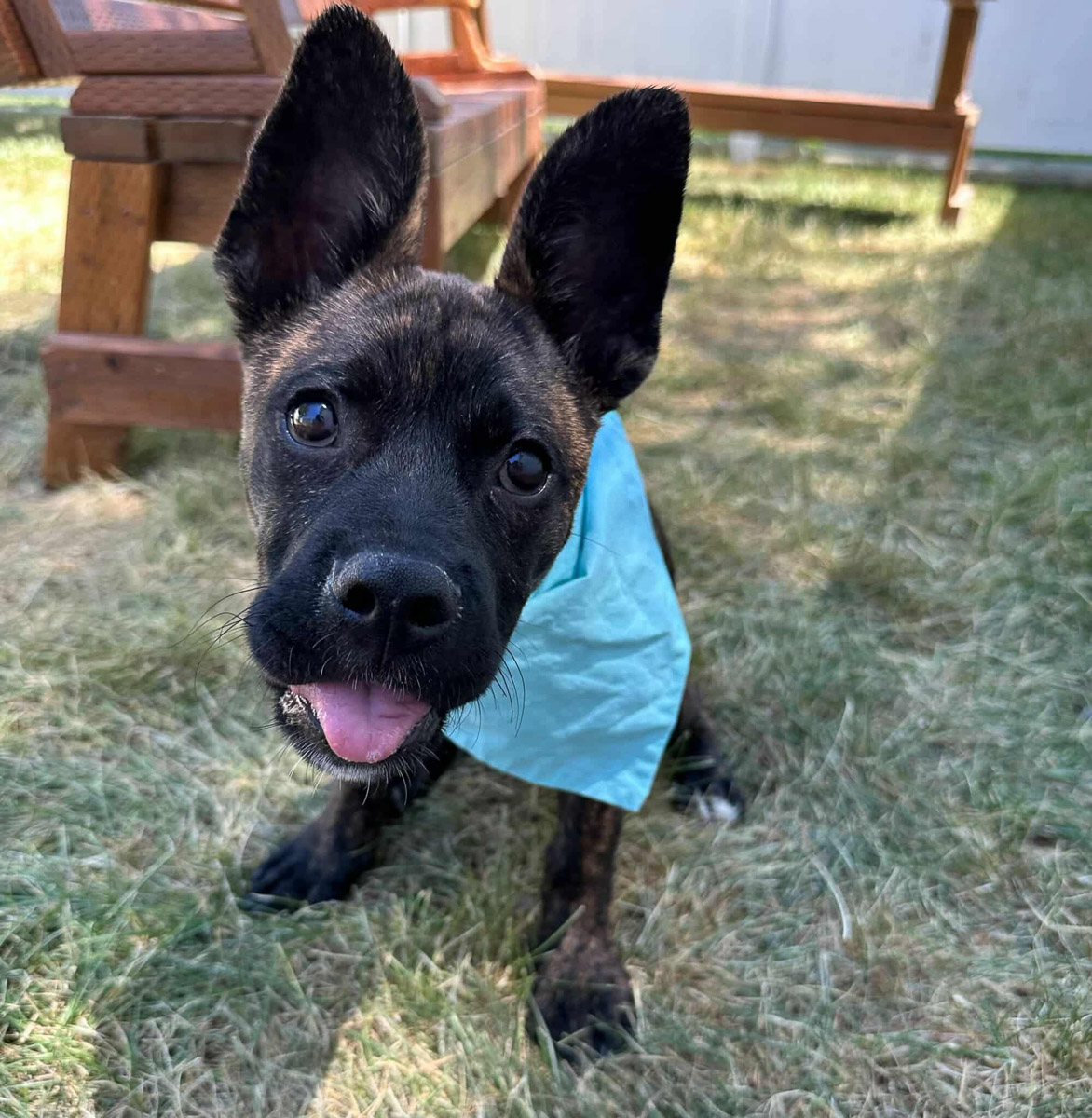 Photo Sep 23 2025, 2 43 59 PM (9)