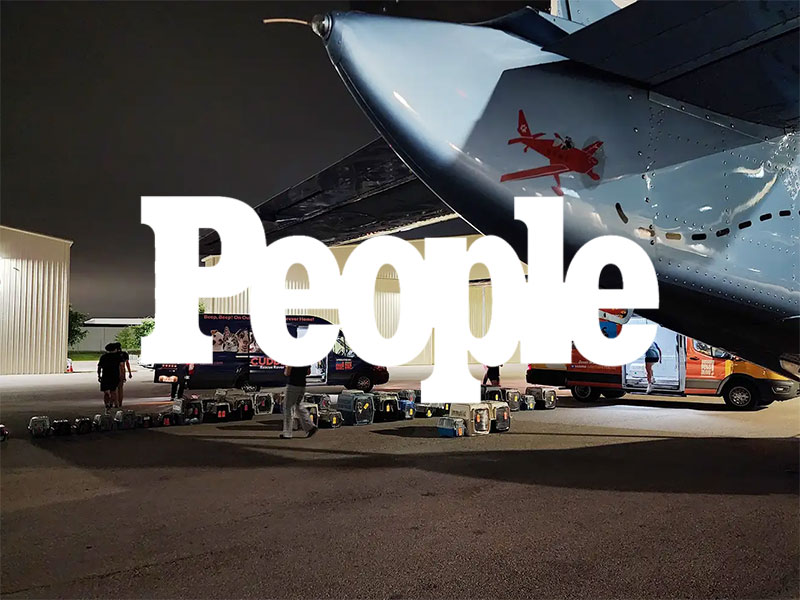 People2026